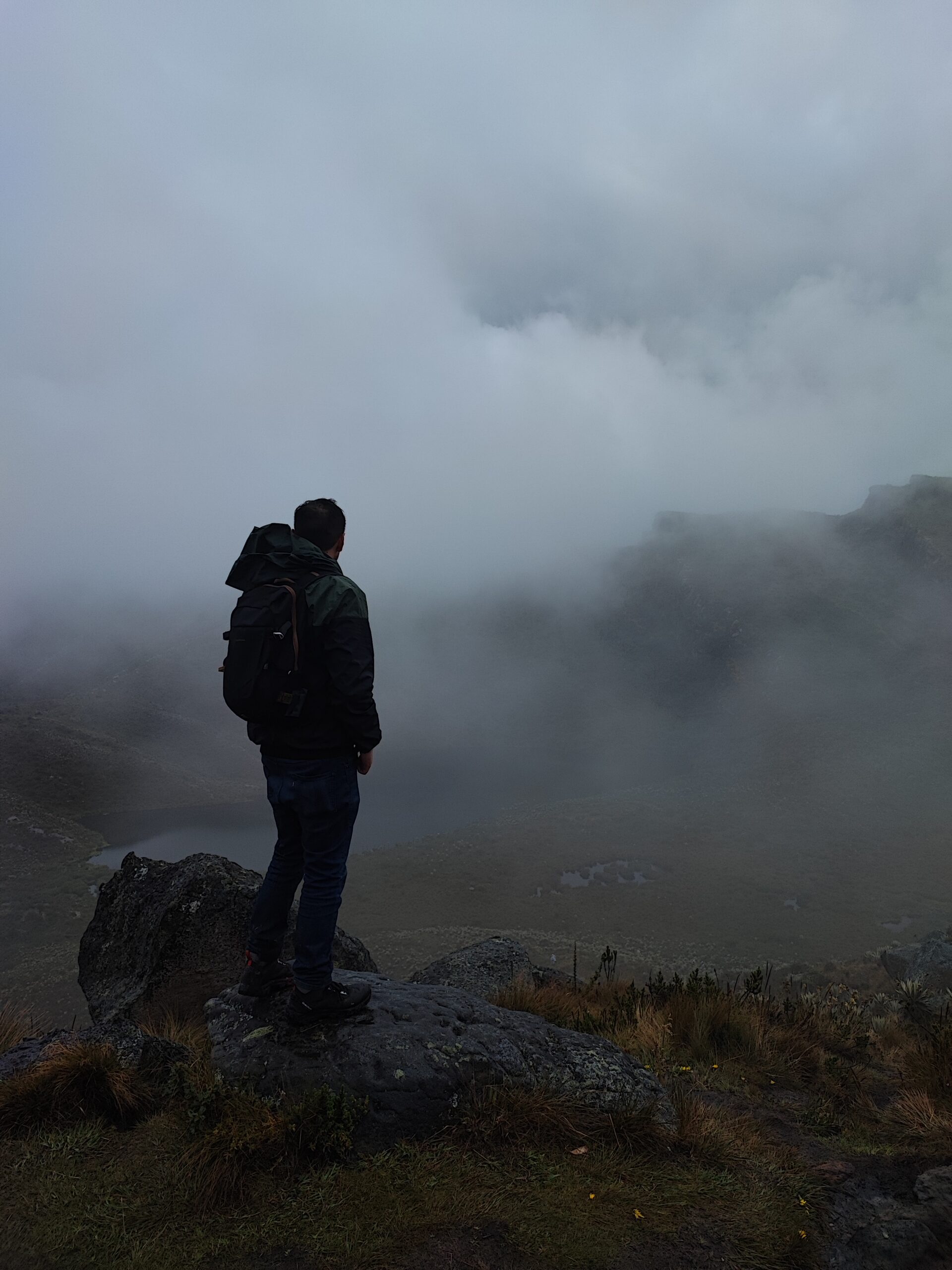 img 20221106 132631