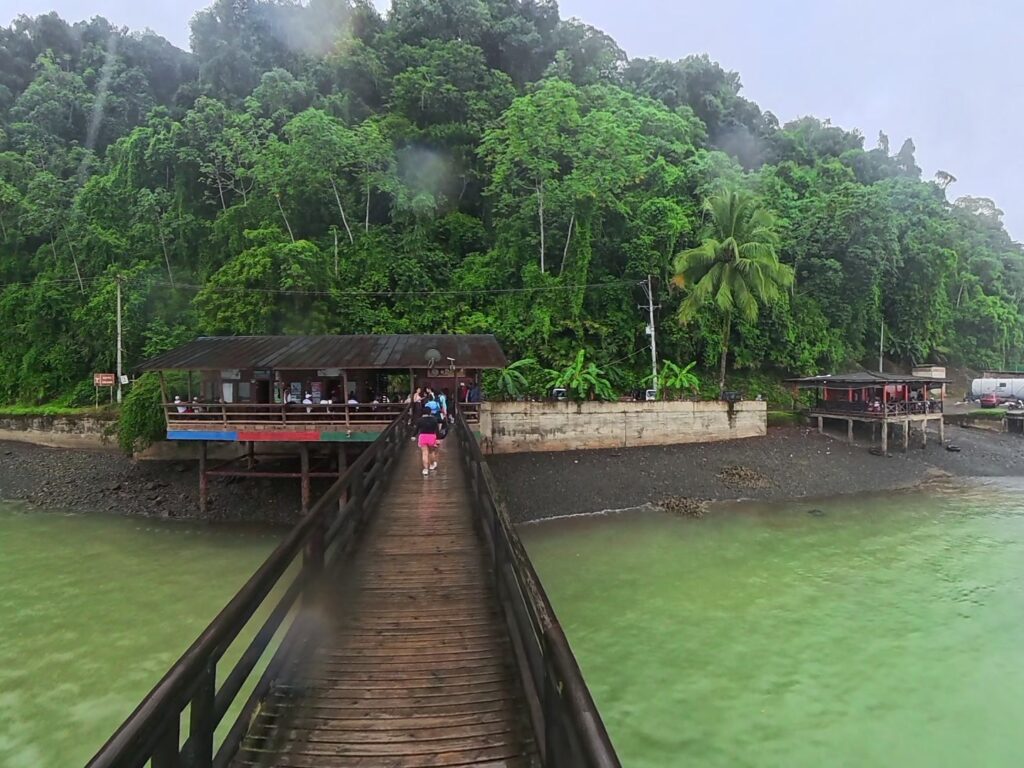 Agua verde y selva junto a un muelle de madera